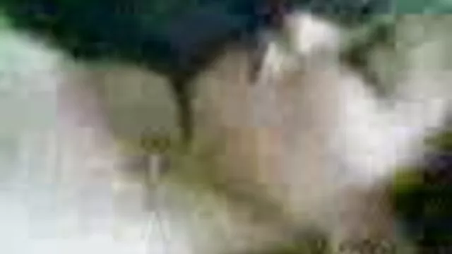 Esposa cincuentonas cogiendo bi