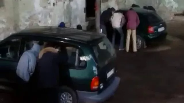 Digitación incestomaduras en un polluelo