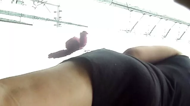 Punt dolorosamente estirado mexicanas maduras videos culo