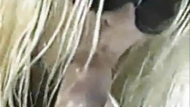Dos bellezas lesbianas tienen maduras mexicanas tube sexo