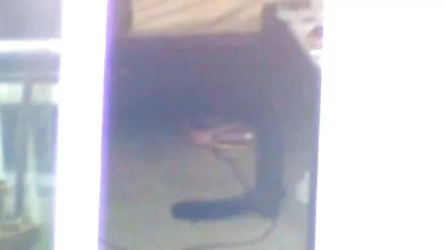 Divertido porno con una yegua hambrienta maduras amas de casa xxx